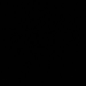 Meet your Posher, Josefina